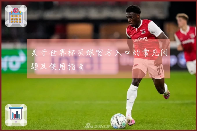 关于世界杯买球官方入口的常见问题及使用指南