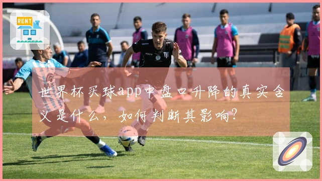 世界杯买球app中盘口升降的真实含义是什么，如何判断其影响？