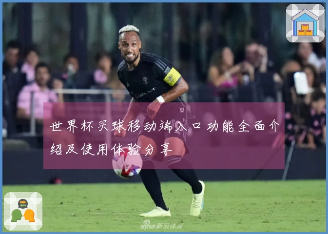 世界杯买球移动端入口功能全面介绍及使用体验分享