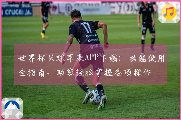 世界杯买球苹果APP下载：功能使用全指南，助您轻松掌握各项操作