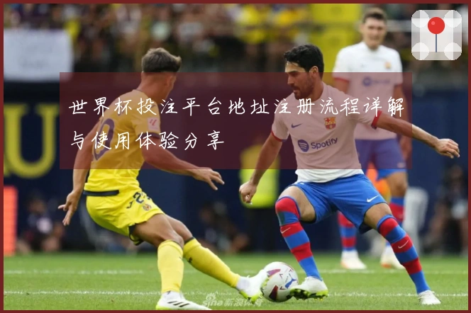 世界杯投注平台地址注册流程详解与使用体验分享