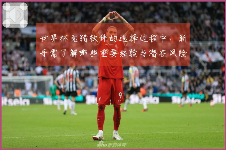 世界杯竞猜软件的选择过程中，新手需了解哪些重要经验与潜在风险