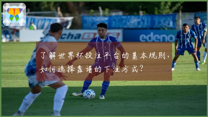 了解世界杯投注平台的基本规则，如何选择靠谱的下注方式？
