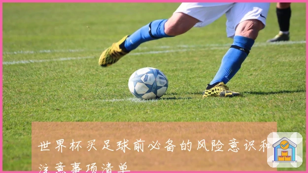 世界杯买足球前必备的风险意识和注意事项清单