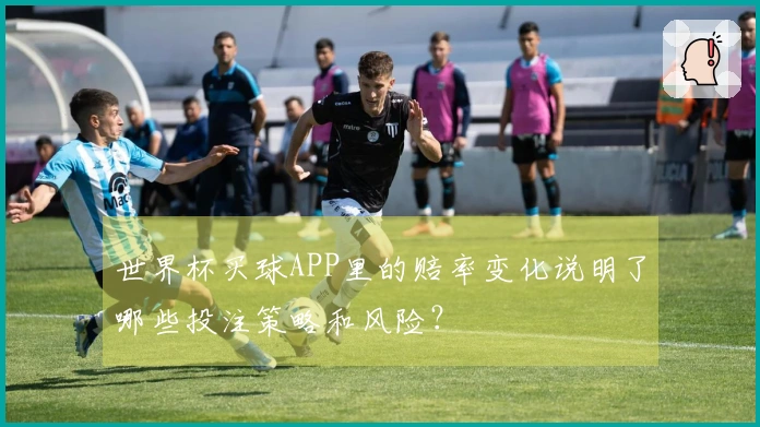 世界杯买球APP里的赔率变化说明了哪些投注策略和风险？
