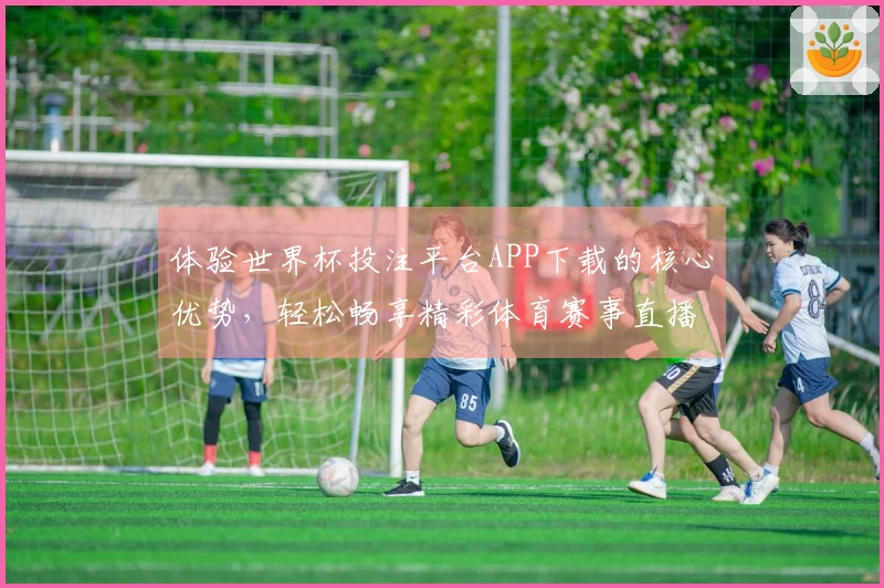 体验世界杯投注平台APP下载的核心优势，轻松畅享精彩体育赛事直播