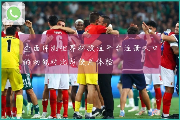 全面评测世界杯投注平台注册入口的功能对比与使用体验
