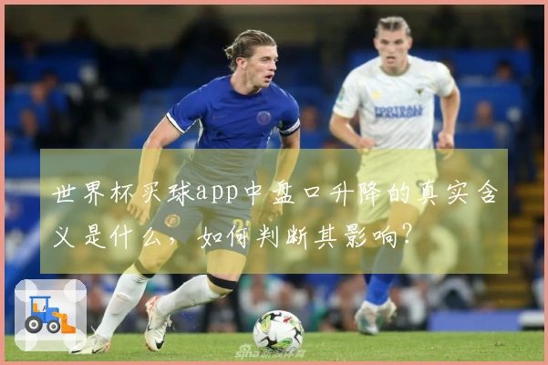 世界杯买球app中盘口升降的真实含义是什么，如何判断其影响？