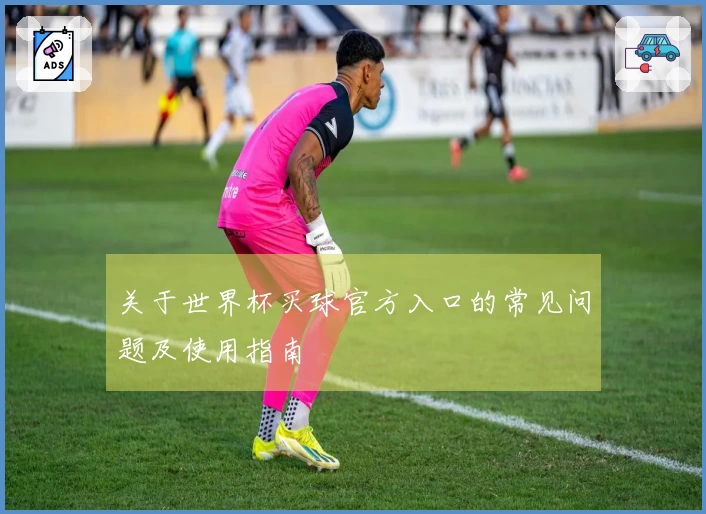 关于世界杯买球官方入口的常见问题及使用指南