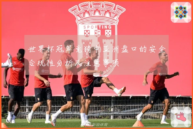 世界杯冠军竞猜中亚洲盘口的安全合规性分析及注意事项
