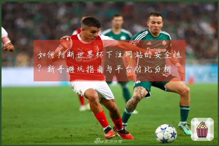 如何判断世界杯下注网站的安全性？新手避坑指南与平台对比分析