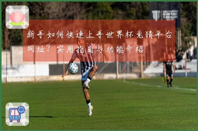 新手如何快速上手世界杯竞猜平台网址?实用指南与功能介绍