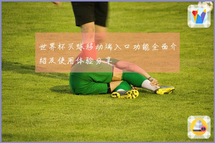 世界杯买球移动端入口功能全面介绍及使用体验分享