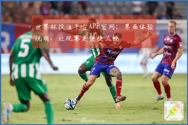 世界杯投注平台APP官网：界面体验说明，让观赛更便捷流畅