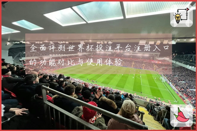 全面评测世界杯投注平台注册入口的功能对比与使用体验