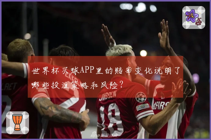 世界杯买球APP里的赔率变化说明了哪些投注策略和风险？
