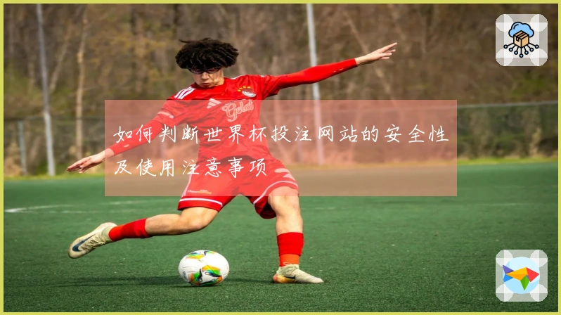 如何判断世界杯投注网站的安全性及使用注意事项