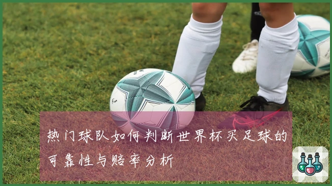 热门球队如何判断世界杯买足球的可靠性与赔率分析