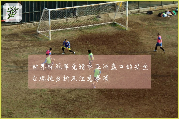 世界杯冠军竞猜中亚洲盘口的安全合规性分析及注意事项