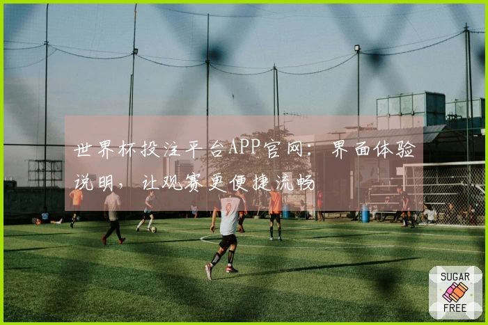 世界杯投注平台APP官网：界面体验说明，让观赛更便捷流畅