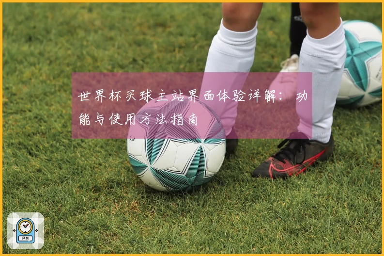 世界杯买球主站界面体验详解：功能与使用方法指南